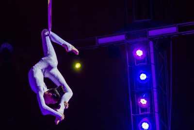 Un giorno con clown, acrobati e domatori: alla scoperta della nomade e libera vita dei circensi